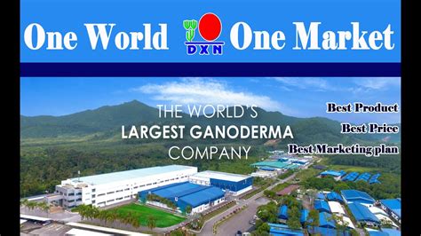 dxn singapore pte ltd photos
